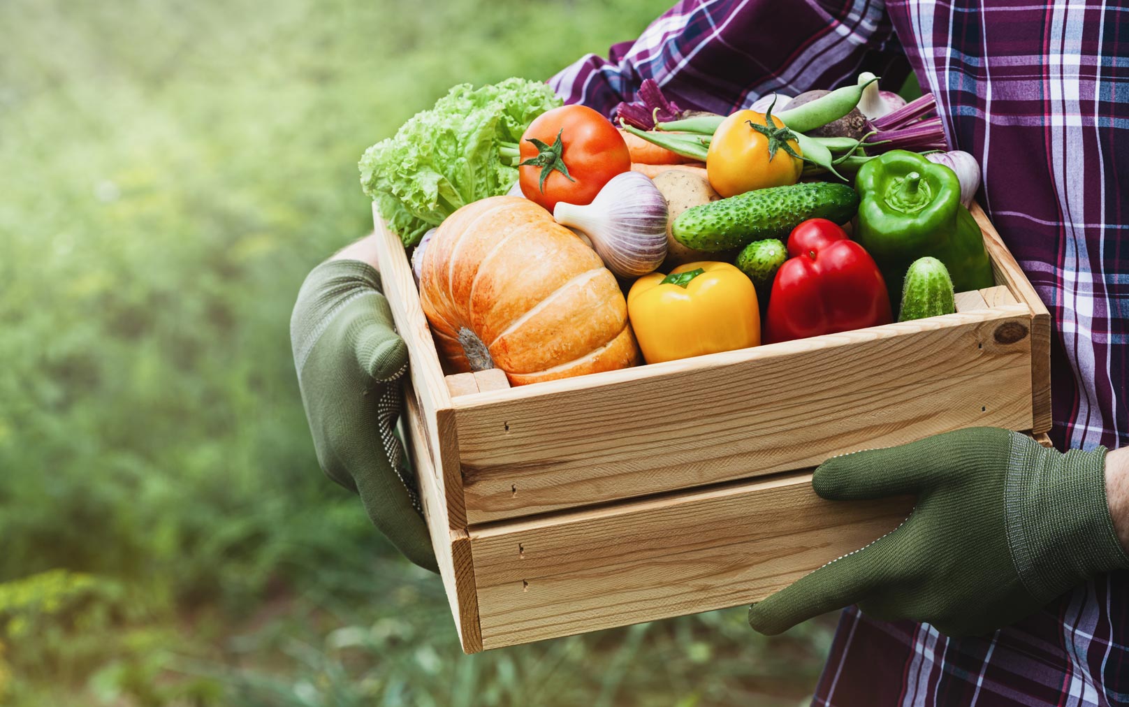 Cabazes de Fruta e Legumes 