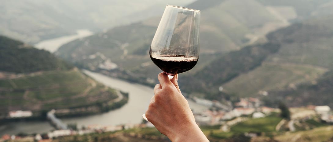 Melhores Vinhos do Douro