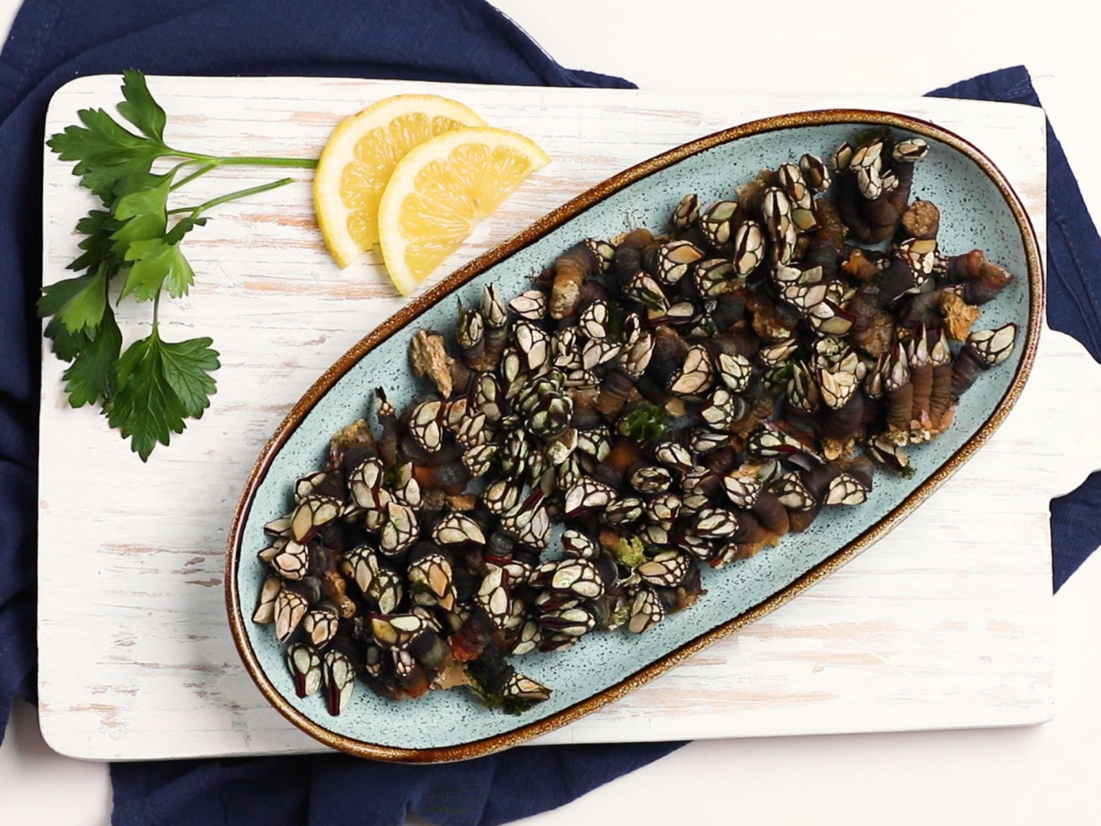 imagem de percebes